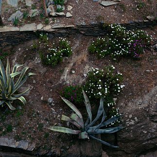 Double room with garden view (1 or 2 beds)